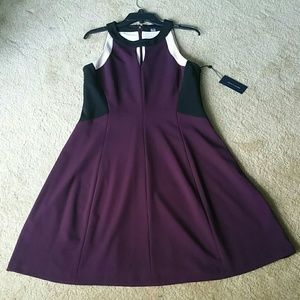 NWT Tommy Hilfiger Size 12 Eggplant colorblock
